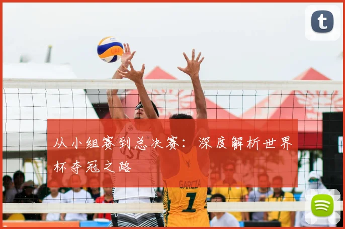 从小组赛到总决赛:深度解析世界杯夺冠之路