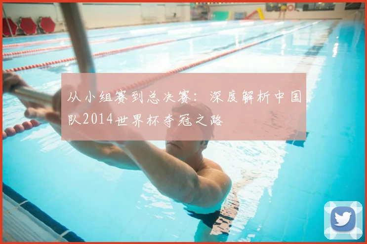 从小组赛到总决赛：深度解析中国队2014世界杯夺冠之路