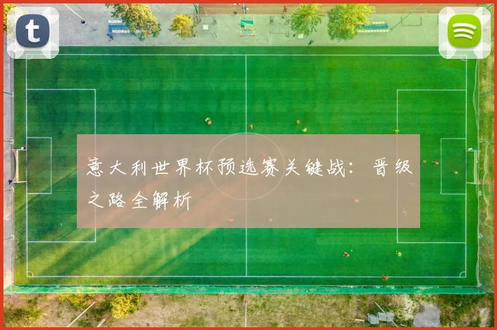 意大利世界杯预选赛关键战：晋级之路全解析