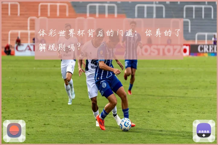体彩世界杯背后的门道：你真的了解规则吗？